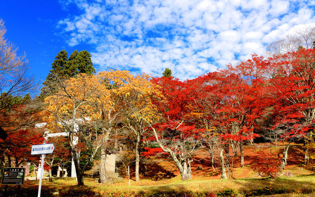 秋の風景