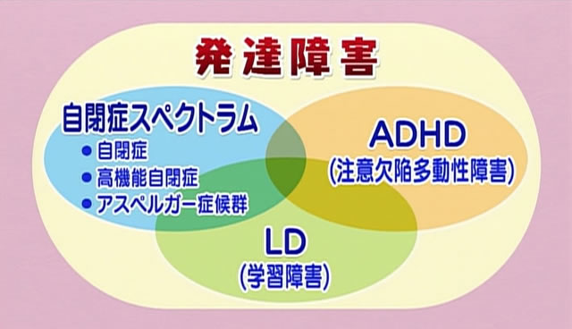 発達障害の3つの分類