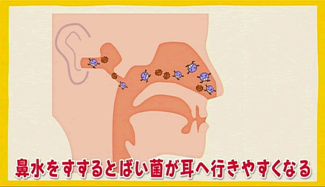 子どもの耳・鼻のケア（2）耳のトラブル