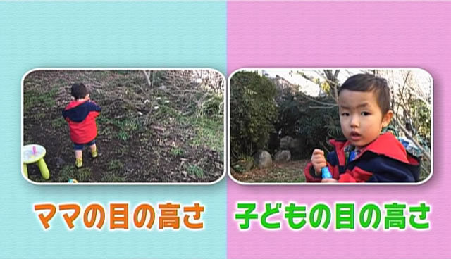 スマホで動画撮影・「ママの目の高さ」「子どもの目の高さ」の比較