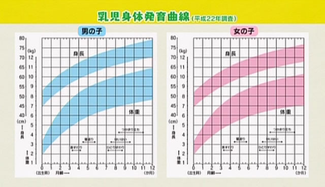 子どもの体重は 発育曲線の枠に必ず入らないとダメ 子育てに役立つ情報満載 すくコム Nhkエデュケーショナル