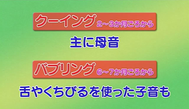 クーイングとバブリングの解説