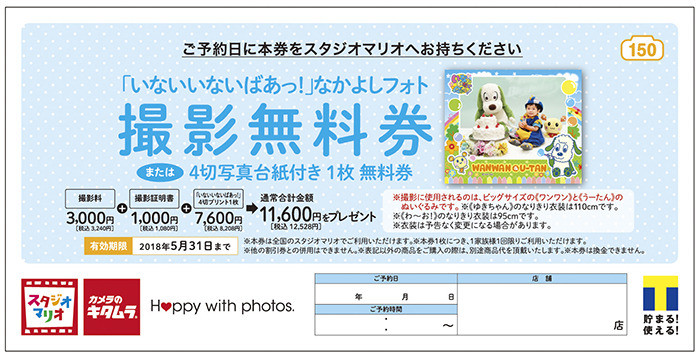 ticket_mario