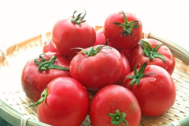 tomato