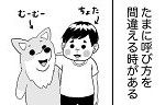 記事イメージ