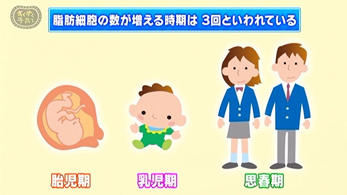 体重がどんどん増えています 将来肥満になってしまうの 子育てに役立つ情報満載 すくコム Nhkエデュケーショナル