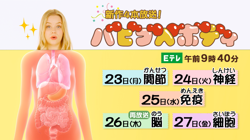 バビブベボディ集合クレイ