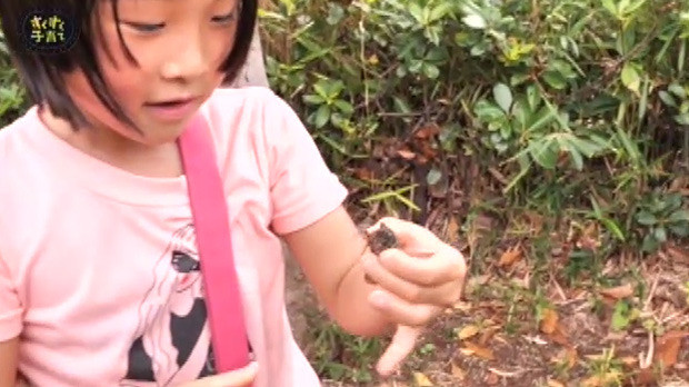 気持ち悪い生き物が好きなのはなぜ 子育てに役立つ情報満載 すくコム Nhkエデュケーショナル