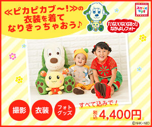 マリオキャンペーン
