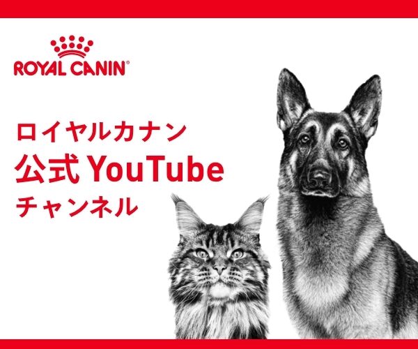 royal_caninキャンペーン