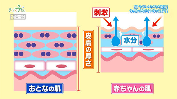 おとなの肌・赤ちゃんの肌