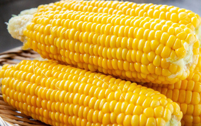 recipe_top