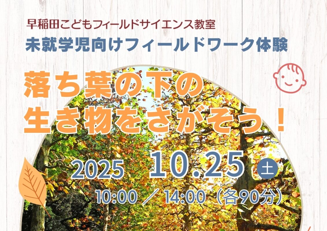 waseda_01