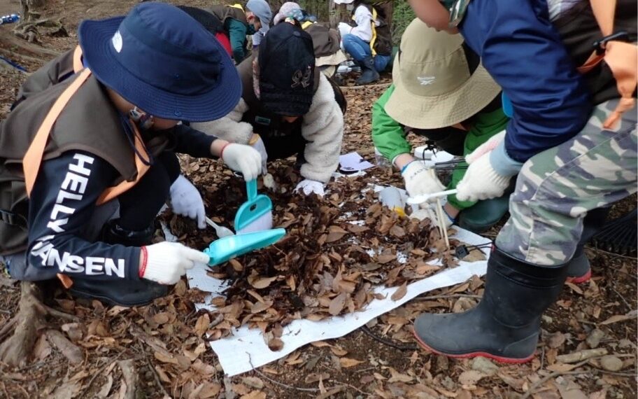 /waseda_02