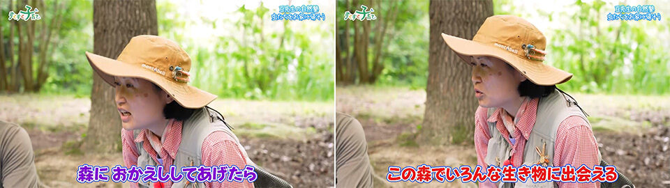 森にかえしてあげたら、これから先も、この森でいろんな生き物に出会うことができる