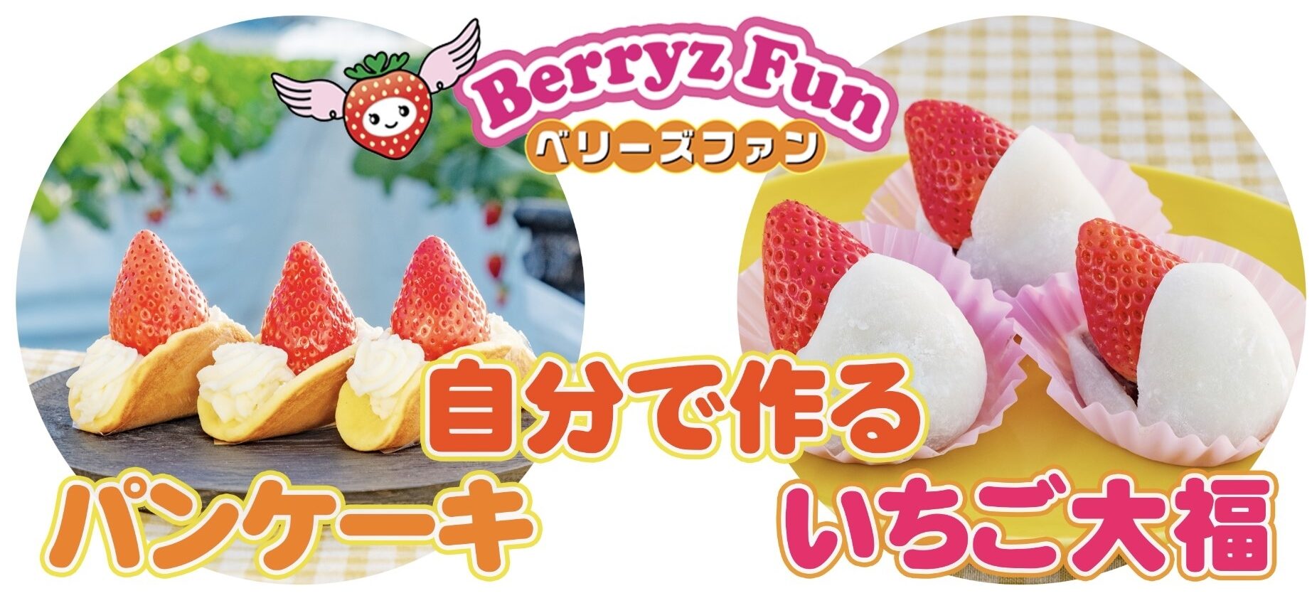 berryzfun_02