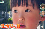 記事イメージ